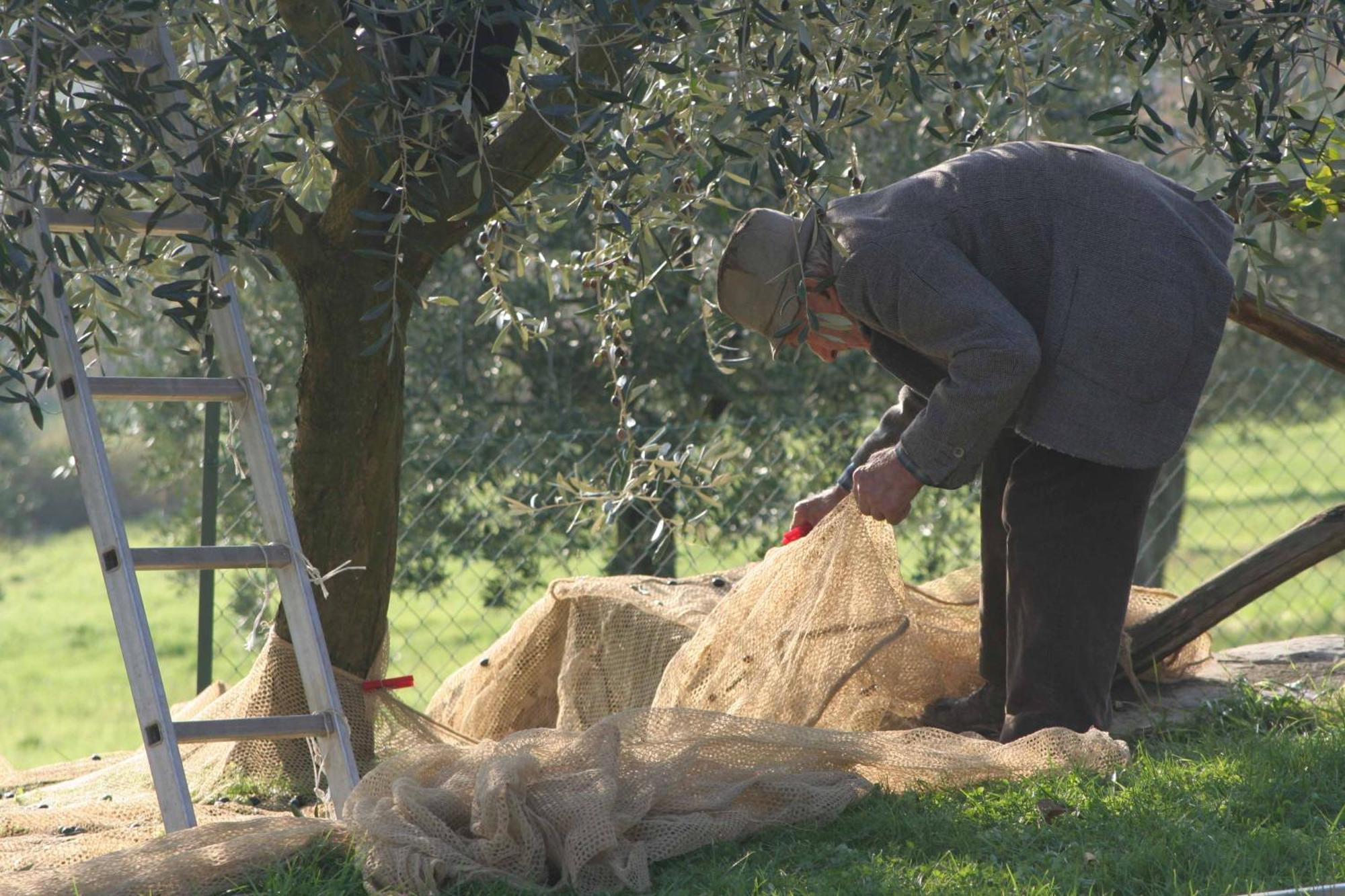 Agriturismo Le Ceregne Bio ปิเอเว ซานโต สเตฟาโน ภายนอก รูปภาพ